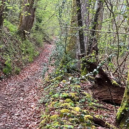 L Ecrin Des Bois Nyaraló