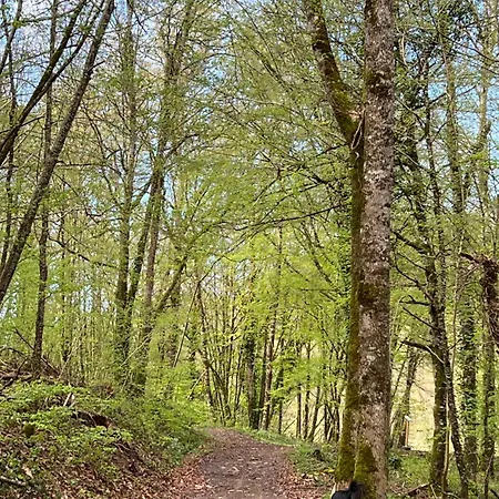 L Ecrin Des Bois Sauveterre-de-Rouergue